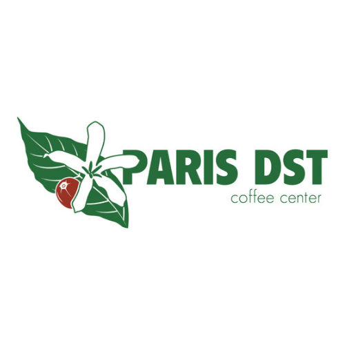 PARIS DST